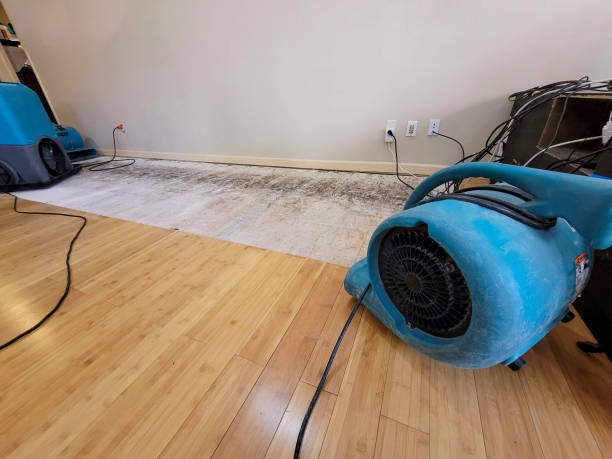 Professional Basement Flood Cleanup technician working in Harshaw, WI